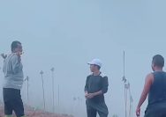 Foto tangkapan layar kebun coklat Bupati Kepulauan Sula, Hj. Fifian Adeningsi Mus